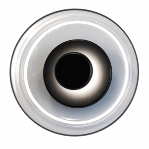 LW010